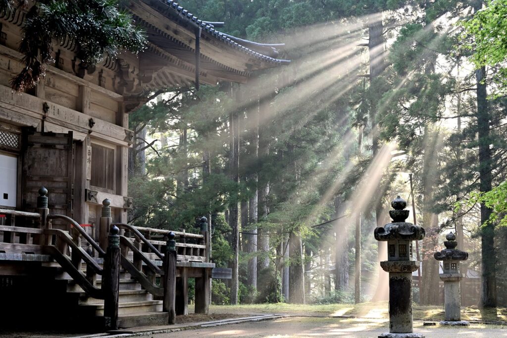 sun rays